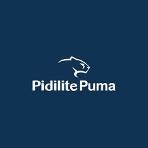Pidilite Puma