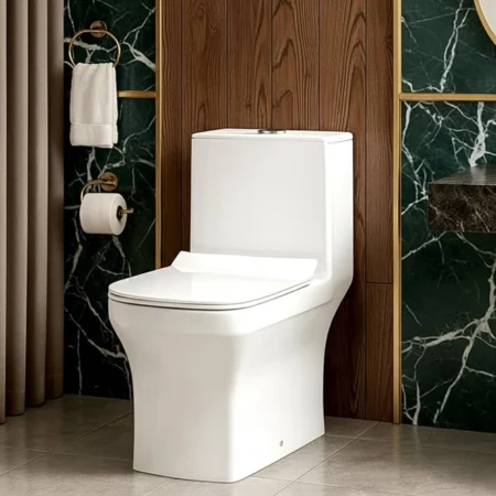 Water Closet Floor Mounted Installation